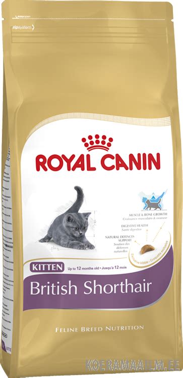 Royal Canin Kitten British Shorthair 2 Kg