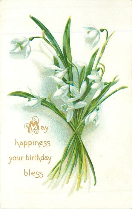 Snowdrops Birthday Message 1908 Vintage Birthday Cards Vintage