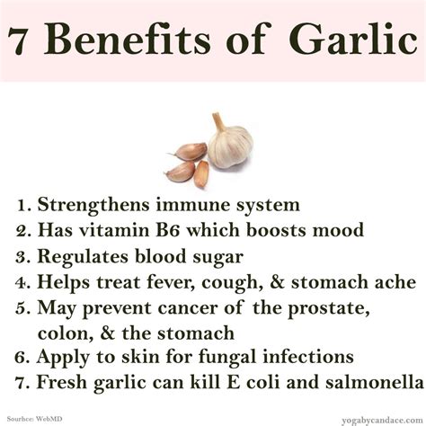 7 Benefits Of Garlic — Yogabycandace
