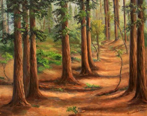 San Lorenzo Valley Artists' Biographies