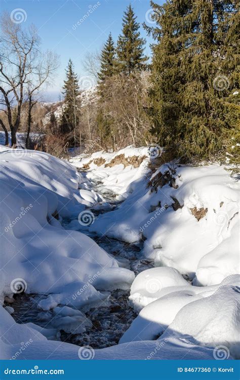 Mountain Stream Under The Snow Stock Photo Image Of Frosty Creek
