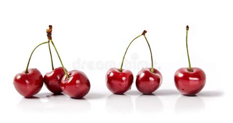 Six Cherries Stock Image Image Of Harvesting Eating 15164031