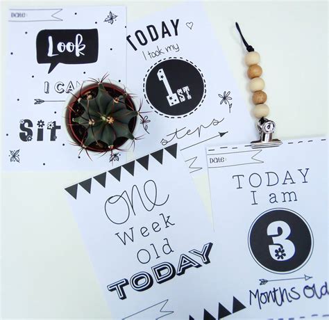Последние твиты от milestone cards (@milestonecards). Baby Milestone Cards By Little Bird Designs | notonthehighstreet.com