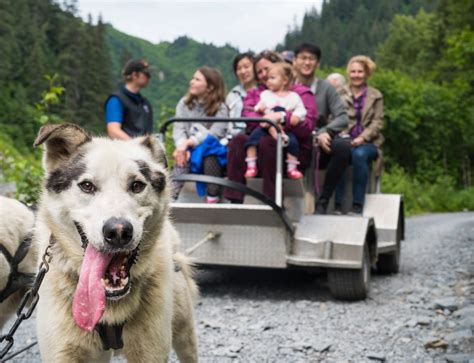 Its Easy To Find Dogsledding Trips In The Greater Anchorage Area