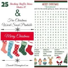 Stocking Stuffer Ideas Under Free Christmas Word Search