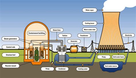 What Are The Different Components Of A Nuclear Power Plant Foro Nuclear