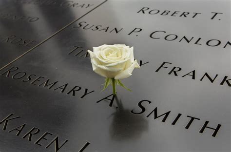 White Rose Signifies Remembrance Of 911 Victims Birthdays National