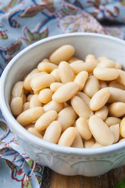 12 Best Cannellini Beans Recipes Izzycooking