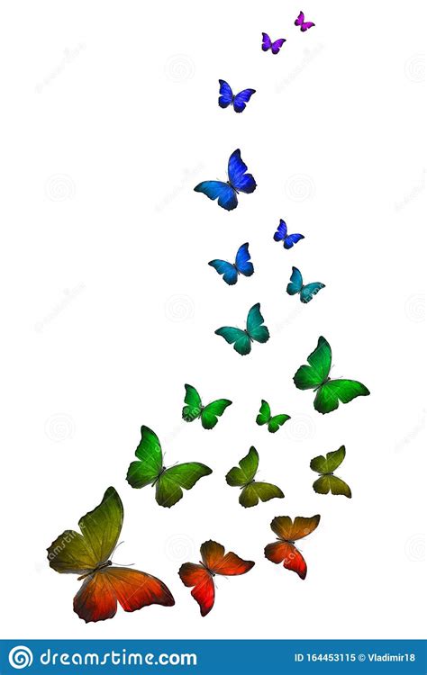 Flock Of Flying Colored Butterflies Isolated On White Stock