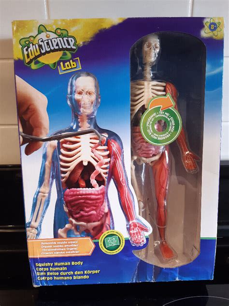 Brand New EduScience Lab Squishy Human Body NOW SOLD | in Shoreham-by-Sea, West Sussex | Gumtree