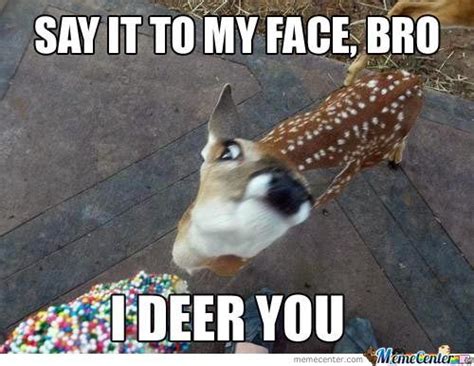 10 Best Deer Memes Sweeney Feeders