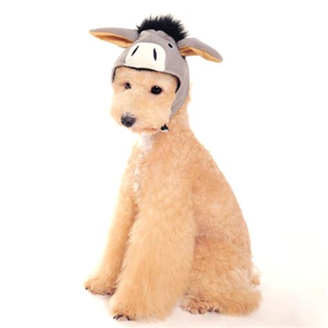 Donkey Dog Hat By Dogo With Same Day Shipping Baxterboo