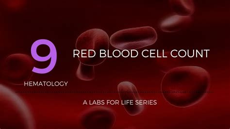 Red Blood Cell Count Youtube