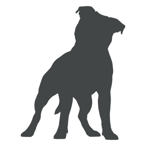 Richard masoner / cyclelicious, flickr. Staffordshire Bull Terrier American Staffordshire Terrier ...