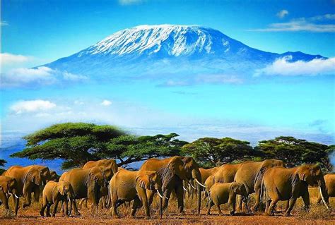 √ Mt Kenya National Park