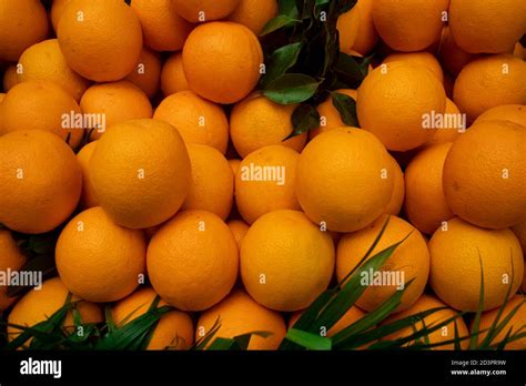 Malta Or Citrus Sinensis A Popular Fruit Grown In The Whole World With