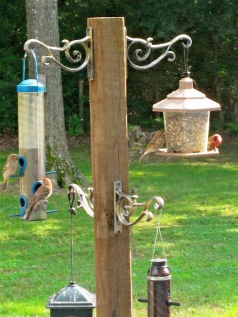 We did not find results for: Snapfish: Log In | Bird feeders, Canvas photo gifts, Bird ...