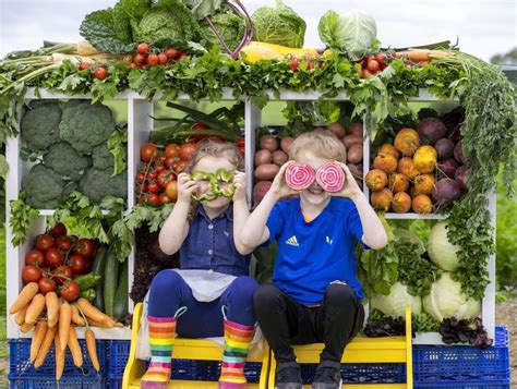 Almost Half Of People Surveyed Dont Eat Fresh Fruit And Vegetables