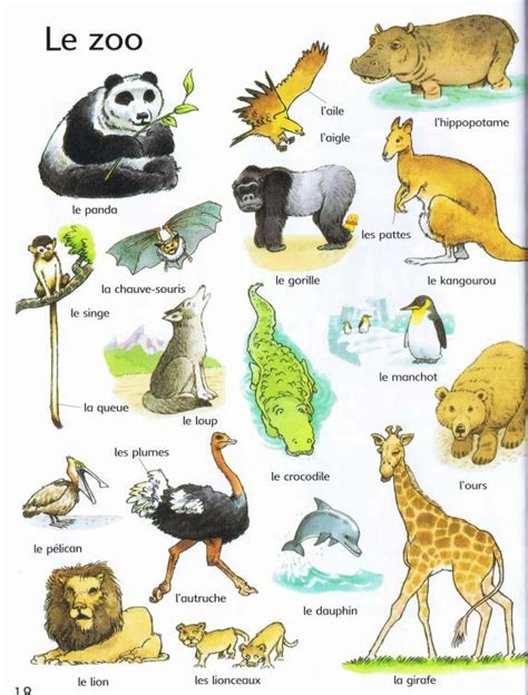 Pin En French Vocabulary Animals