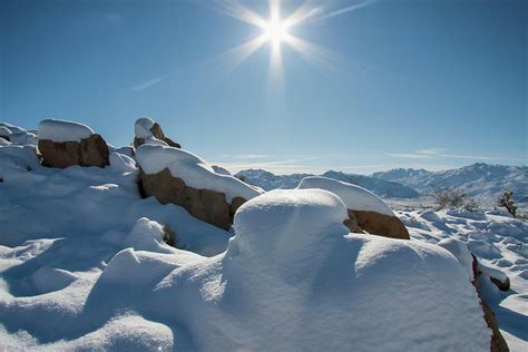Snow At Joshua Tree National Park Photograph By Zandria Muench Beraldo