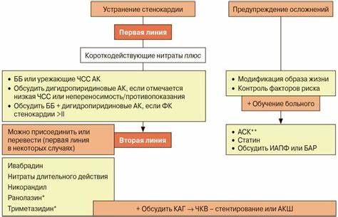 Лечение стабильной ишемической болезни сердца: профилактика приступов Картинка - Лечение стабильной ишемической болезни сердца: профилактика приступов