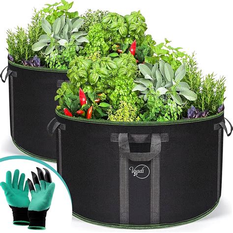 Discover More Than 142 Container Gardening Grow Bags Super Hot