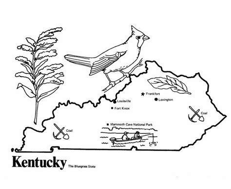 Kentucky State Flag Coloring Page Coloring Nation