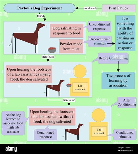 Psicología Pavlov Fotografías E Imágenes De Alta Resolución Alamy