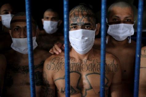 did el salvador s government make a deal with gangs bbc news