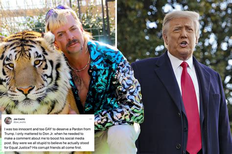 tiger king s joe exotic says he s ‘too innocent and too gay to deserve trump pardon as carole