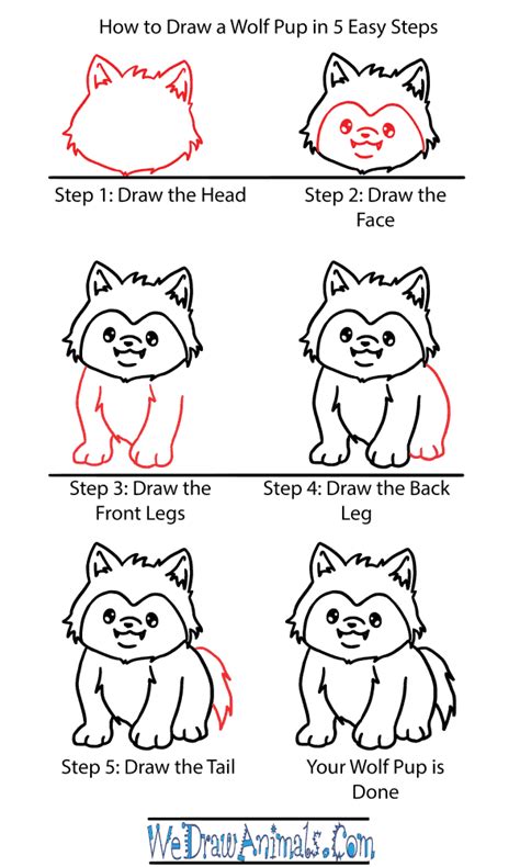 How To Draw A Cute Wolf Pup
