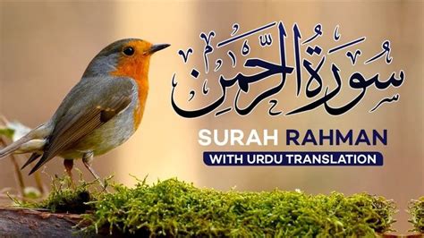 Surah Rahman With Urdu Translation Full Qari Al Sheikh Abdul Basit