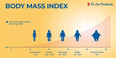 Body Mass Index Bmi What It Is And How To Calculate Dr Lal Pathlabs Blog
