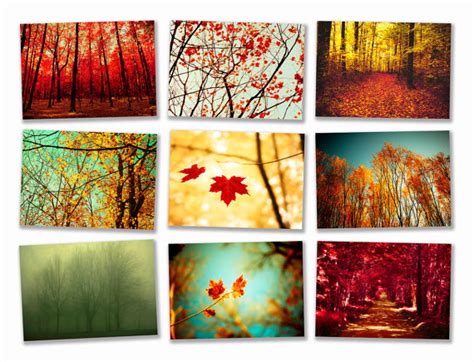 Together in the snow from $44.99 Autumn photography wall decor - Wall Decoration Pictures ...