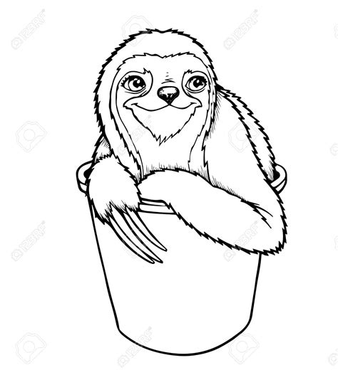 Three Toed Sloth Clipart 109px Image 9