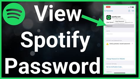 How To See Your Password On Spotify YouTube