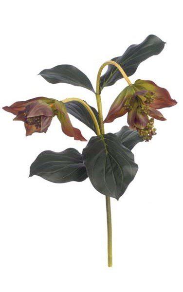 earthflora fabulous faux flowering collection 27 medinilla stem soft touch 6 leaves 2