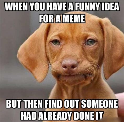 Download Dog Silly Disappointed Meme Picture