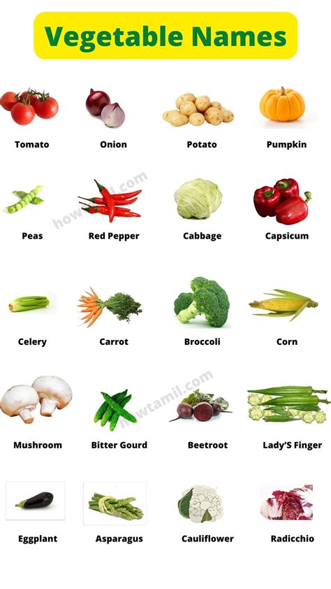 50 List Of Vegetable Names A Z With Picture
