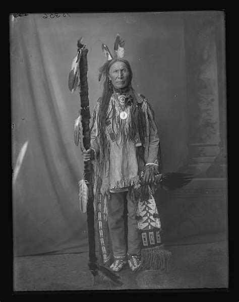 Chief Yellow Hair A Rosebud Sioux At The Louisiana Purchase