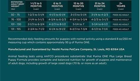PURINA ONE SmartBlend Large Breed Puppy Formula Dry Dog Food, 31.1-lb
