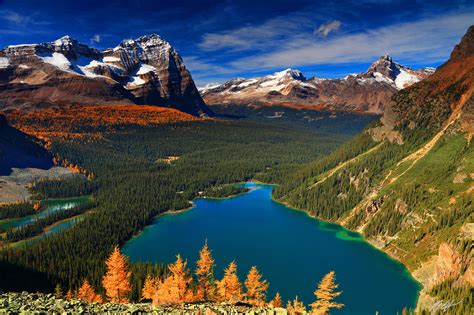 M134 Lake Ohara With Odaray Mountain And Cathedral Mountain Canada