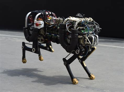 Watch Boston Dynamics Spot Robot Dog Meet A Real Dog For The First
