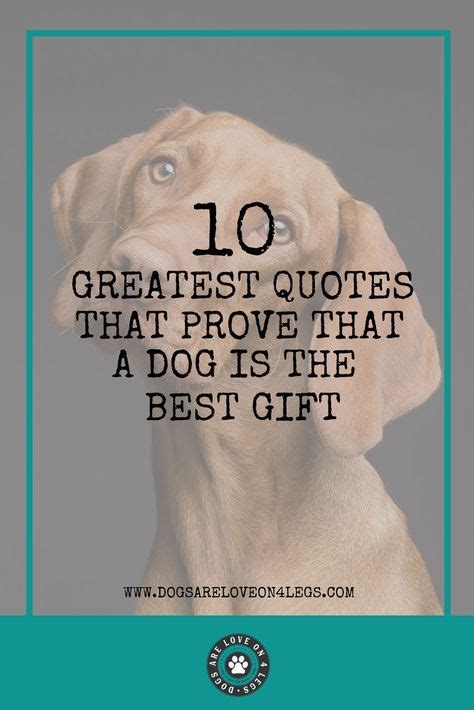 10 Greatest Dog Quotes That Prove A Dog Is The Best T Dogs Are
