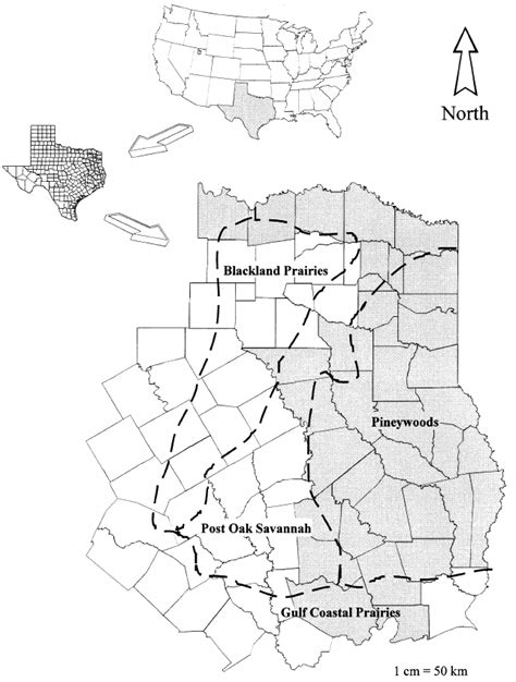 Historic Range Grey Area Of Eastern Wild Turkey In East Texas