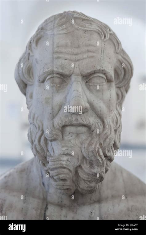 Marble Bust Of Ancient Greek Historian Herodotus 484 425 Bc Roman