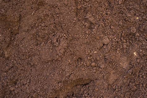 What Is Loam Soil