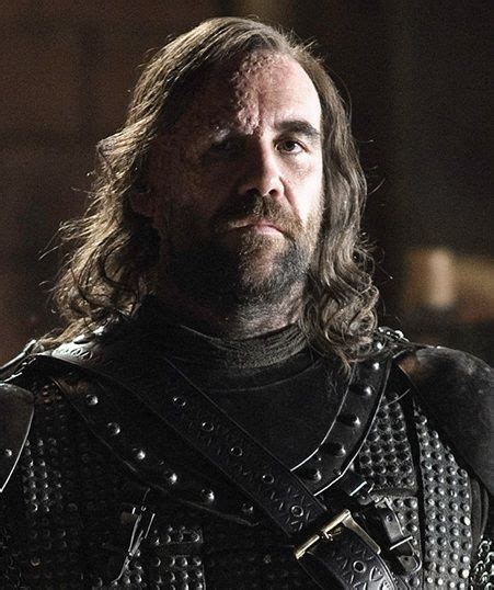 Sandor Clegane Rory Mccann Game Of Thrones Wiki Hbo Game Of Thrones