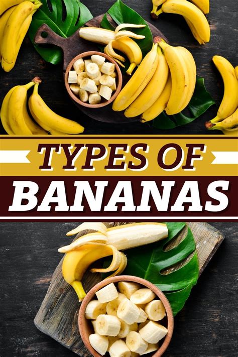 17 Types Of Bananas Different Varieties Insanely Good
