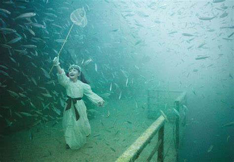 Underwater Shipwreck Art Gallery Photos Released